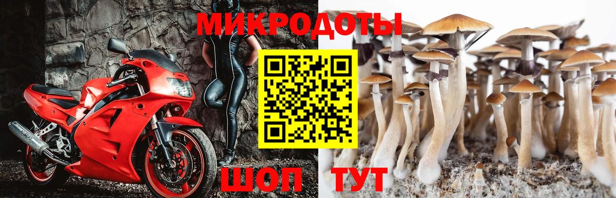 наркотики  Псилоцибиновые грибы прущие грибы  Вход с VPN  Гусиноозёрск 
