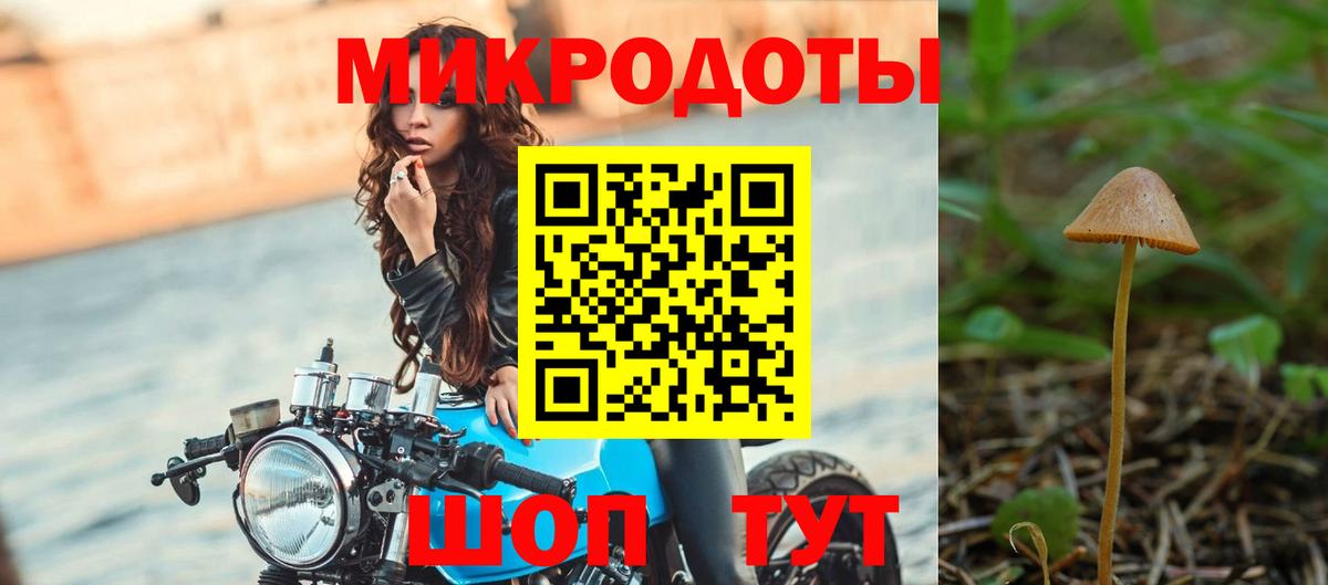 Галлюциногенные грибы Cubensis Гусиноозёрск